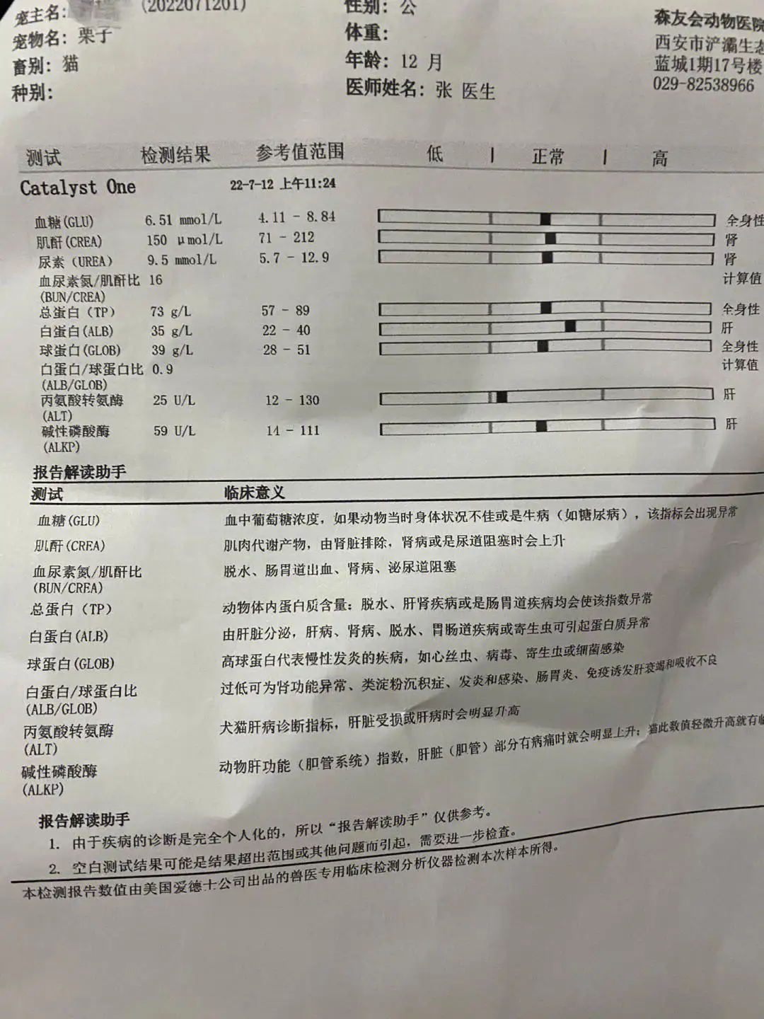 猫传腹生化检查(猫传腹生化检查指标)