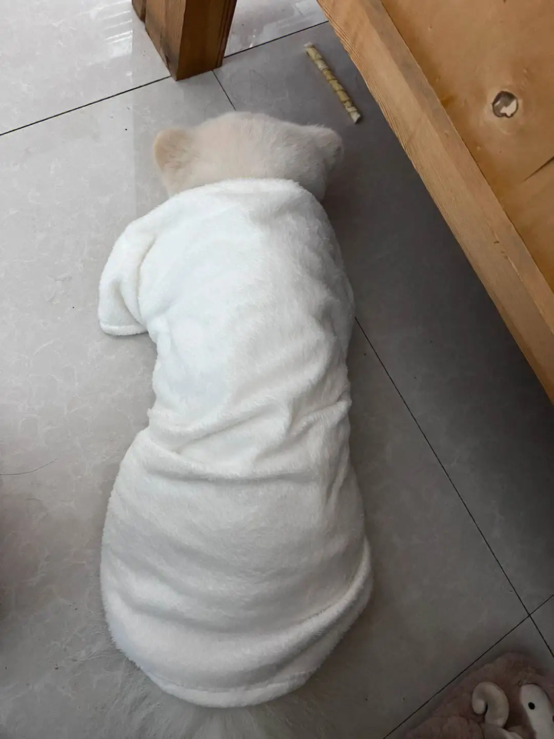 小狗感冒发烧什么症状(小狗感冒发烧什么症状啊)