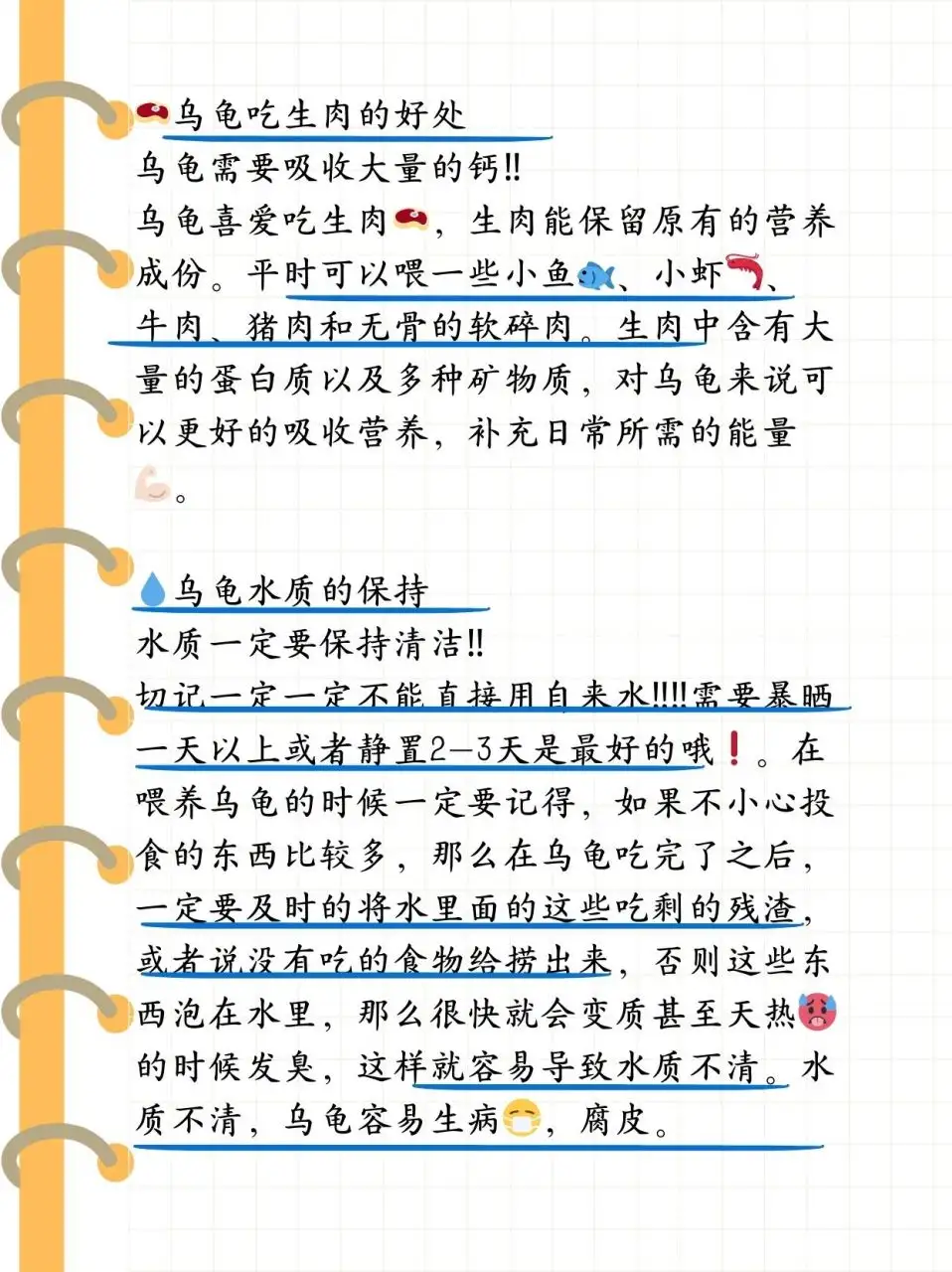 巴西龟能吃不能吃(巴西龟可以吃吗?有什么作用)