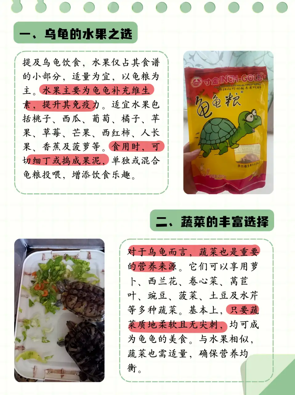 巴西龟能吃什么水果(巴西龟能吃什么水果对他的健康好一点)