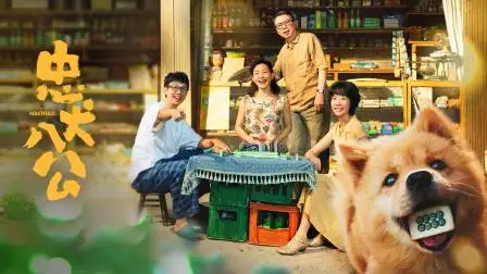 忠犬八公品种(忠犬八公的狗什么品种)