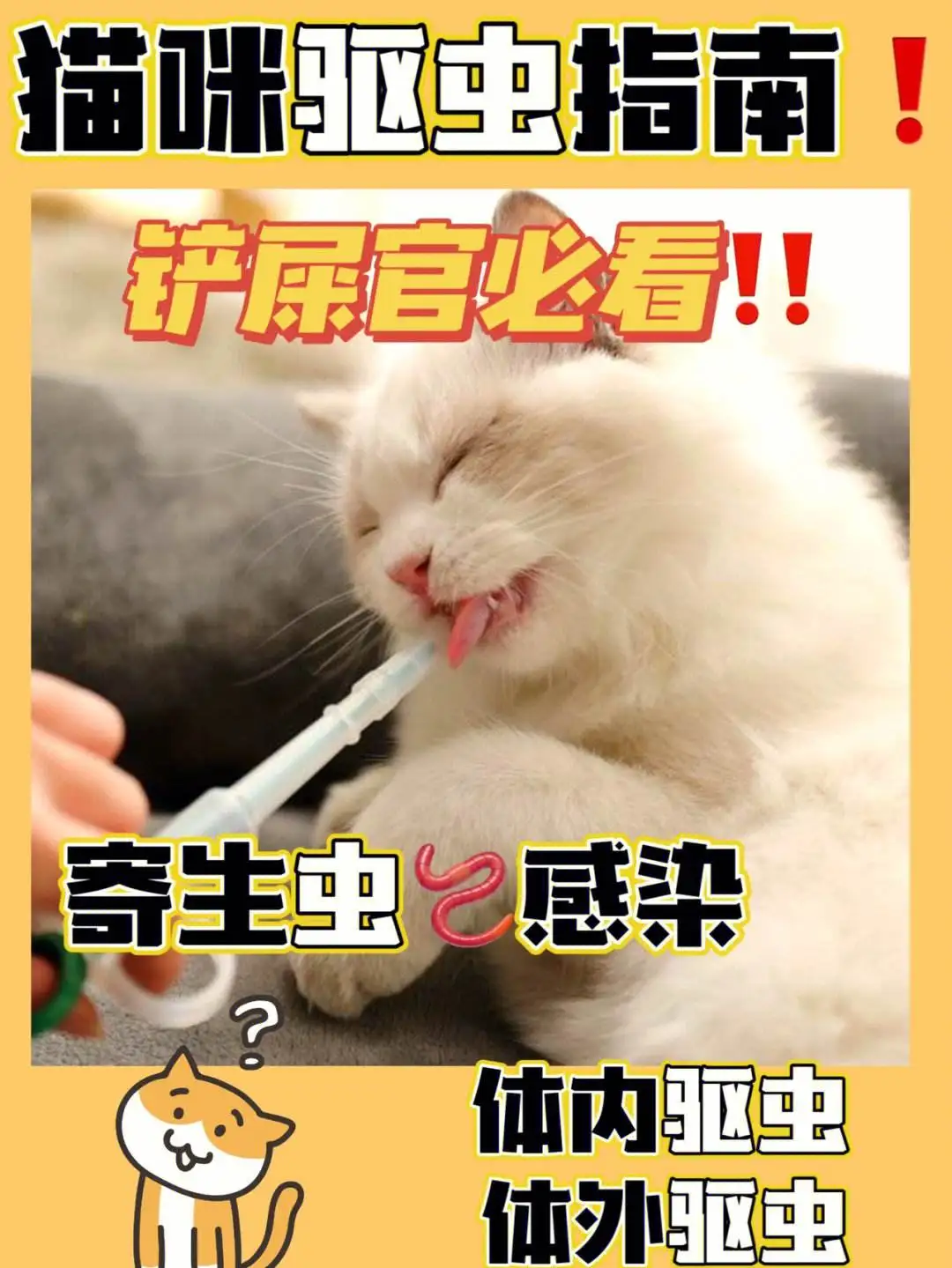 猫怎么体内驱虫(猫体内驱虫怎么驱)