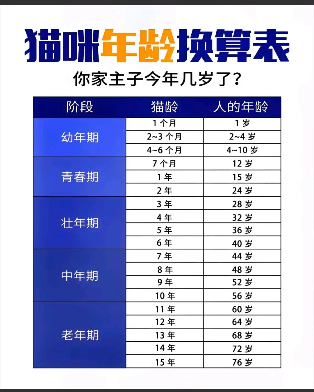 猫多少寿命(猫多少年寿命)