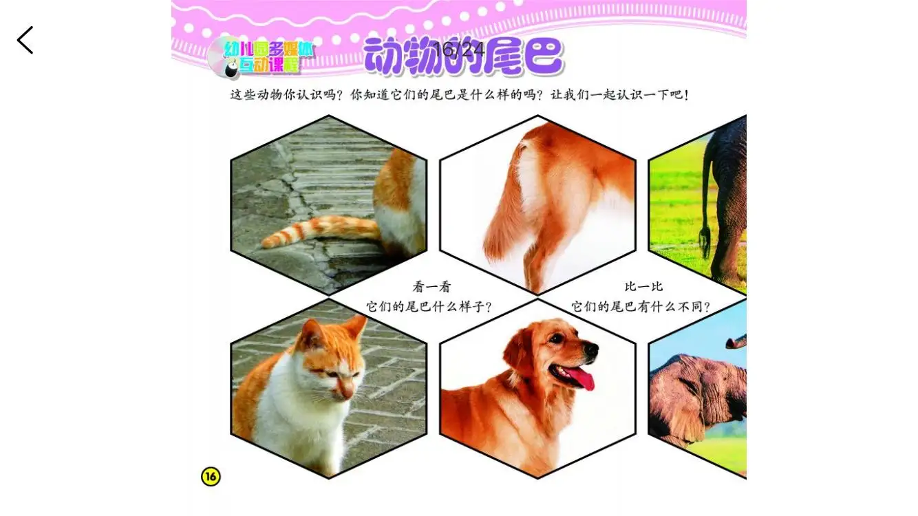 不同动物的尾巴有什么用(不同动物的尾巴各有什么用处)