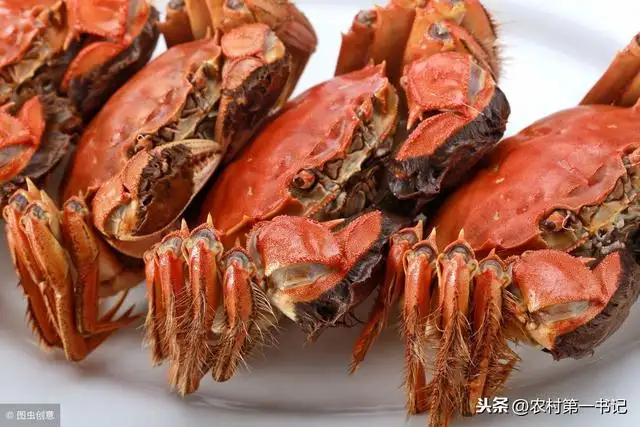 螃蟹最怕什么食物(螃蟹最怕什么食物和水)