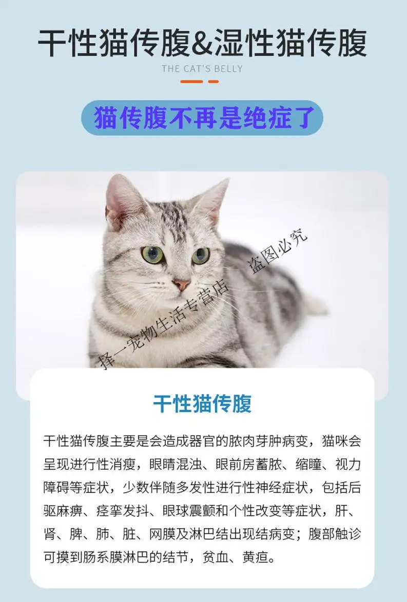 猫传腹411一瓶多少钱(猫传腹411一瓶可以打几天)