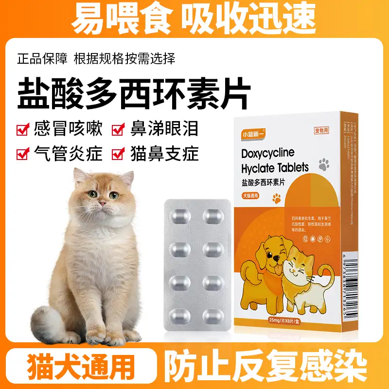小狗狗两个多月感冒了吃什么药(2个月狗狗感冒了吃什么药比较好)