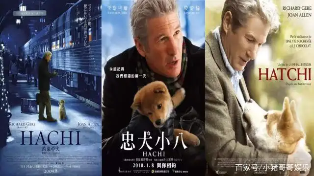 忠犬八公的故事免费观看完整版(忠犬八公的故事免费观看完整版电影)