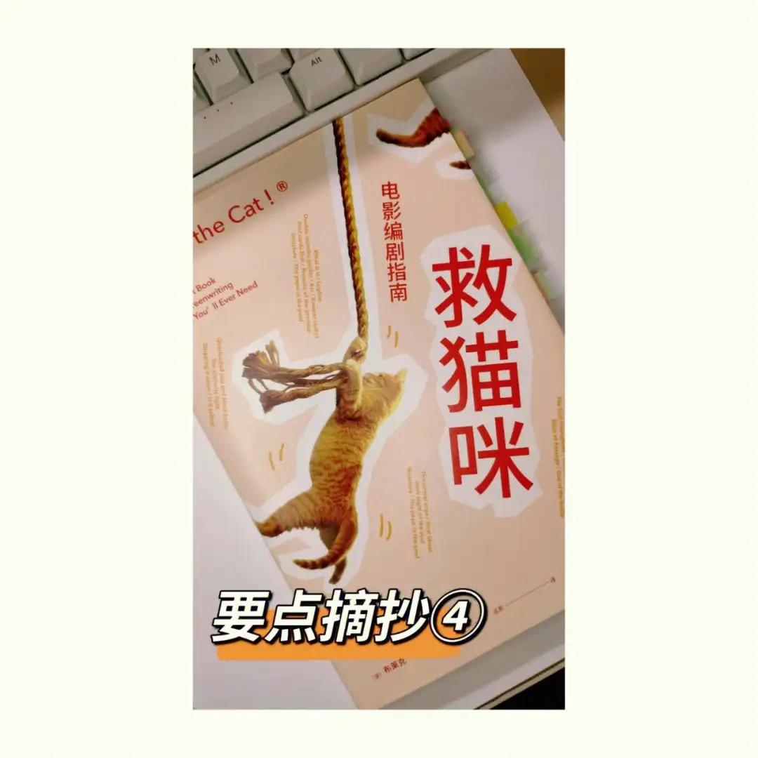 救猫咪类型(救猫咪的含义)