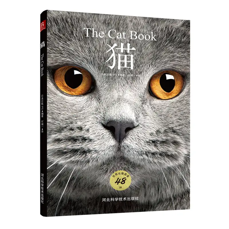 猫咪品种ppt(猫咪品种大全及图片)