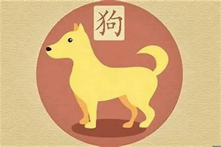 82年狗多大(82年狗多大岁数2024年)