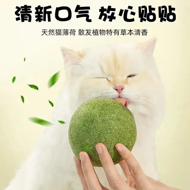小猫对猫薄荷有用吗(小猫对猫薄荷有用吗知乎)