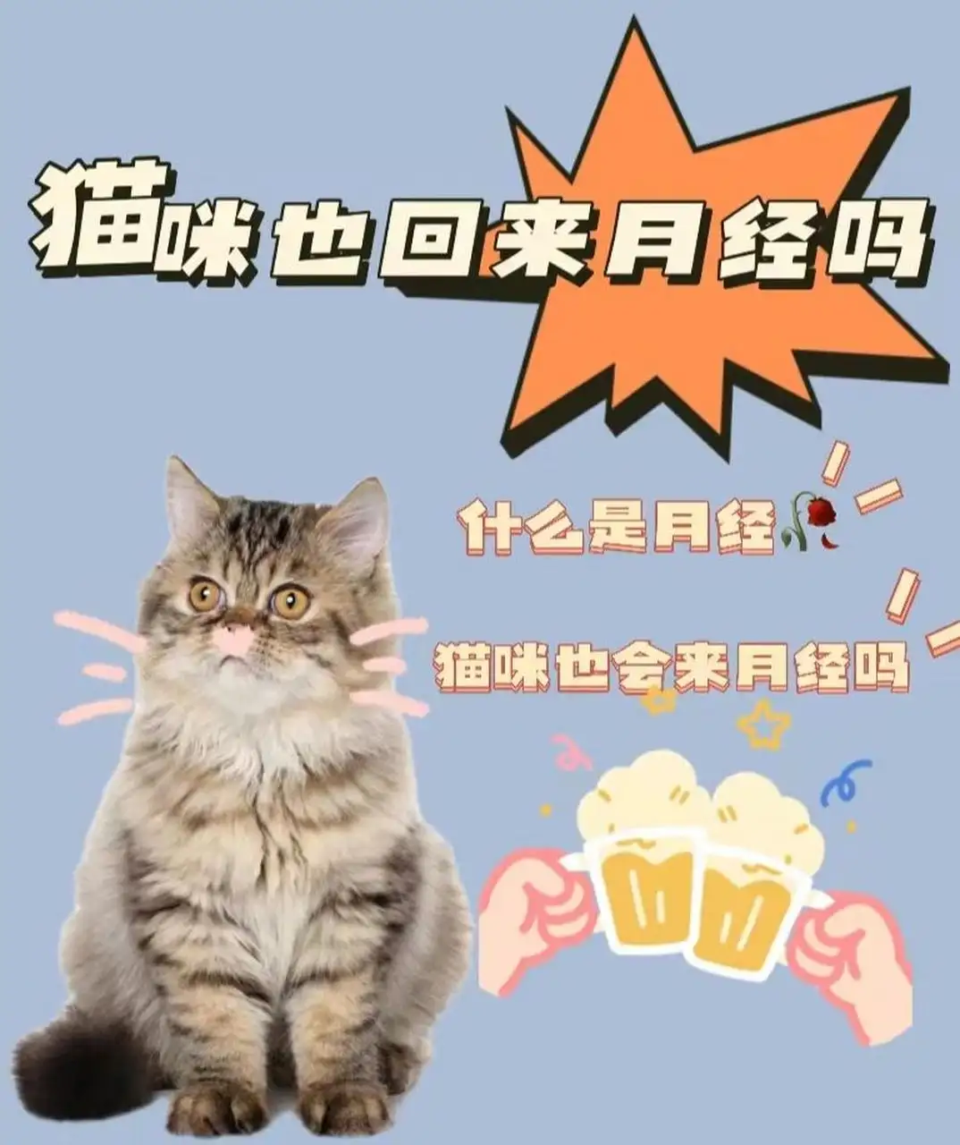 猫猫大姨妈(猫猫大姨妈多久来一次)