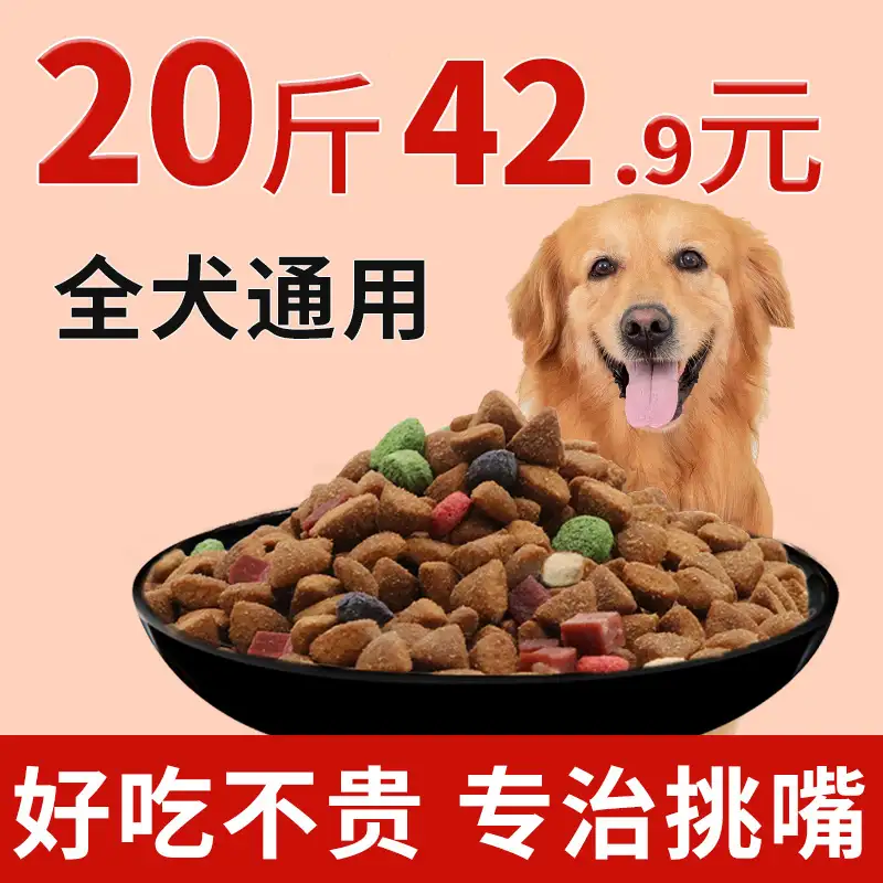 金毛5个月吃什么狗粮好(5个月的金毛一天喂多少狗粮)