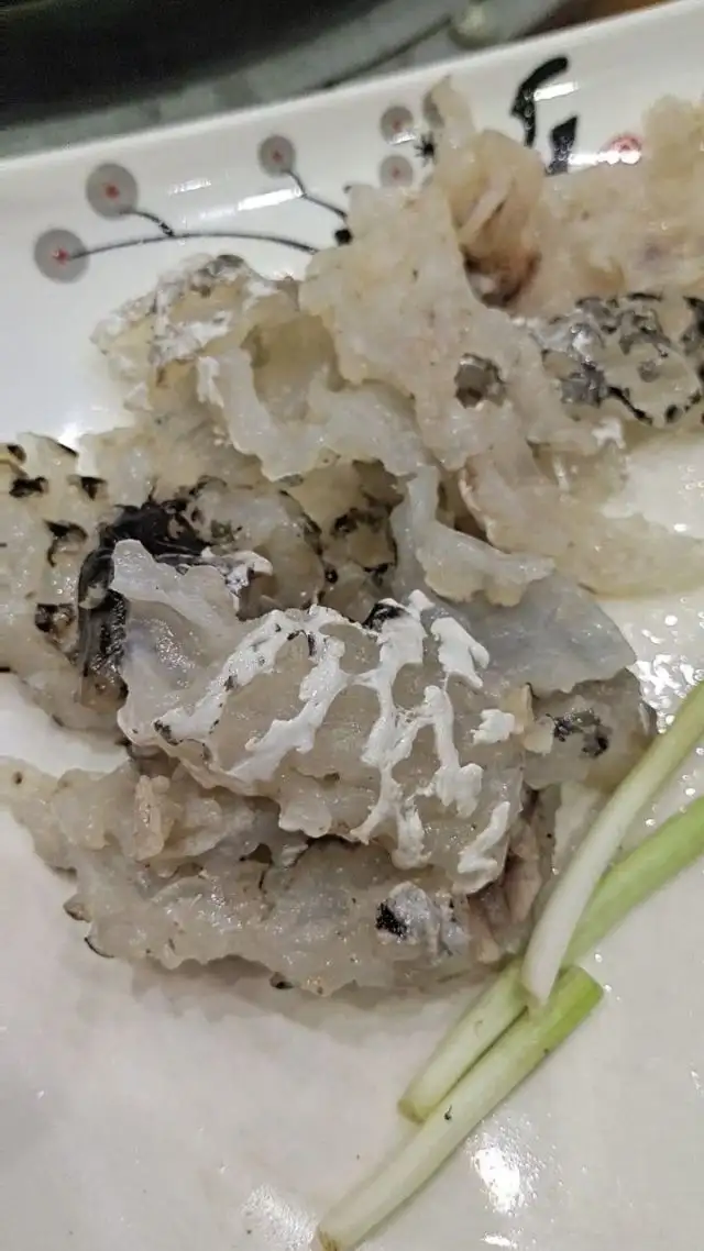 刺龟鱼皮怎么吃(刺龟鱼皮多少钱一斤市场价)