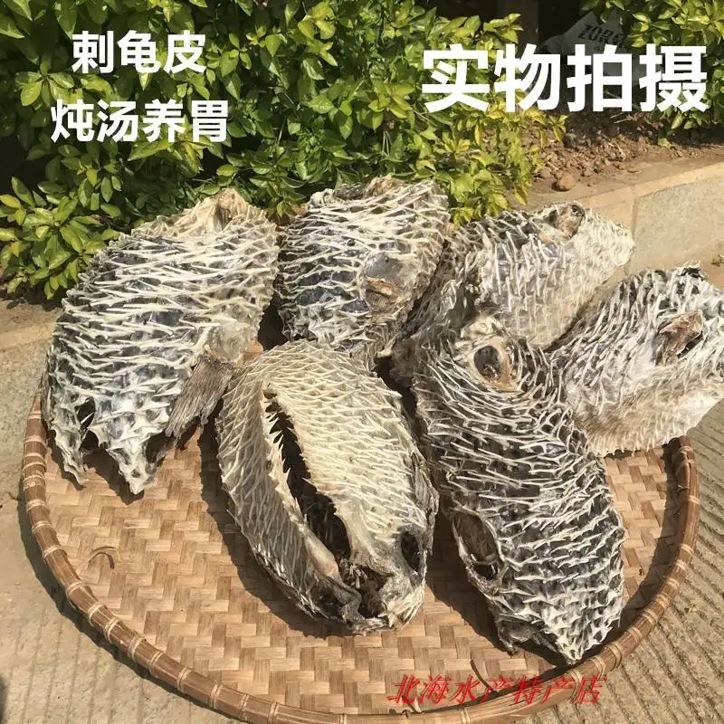 刺龟鱼皮怎么吃(刺龟鱼皮多少钱一斤市场价)