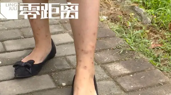 母猫几个月可以怀孕(德文母猫几个月可以怀孕)
