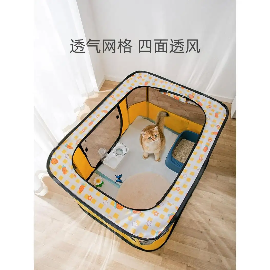 狗同窝的可以繁殖吗?(同窝狗可以繁殖吗一窝狗可以繁殖吗)