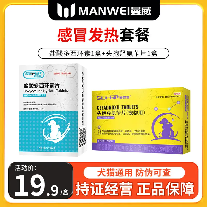 狗狗发烧可以喝什么药(狗狗发烧吃什么药?宠物用药需谨慎!)