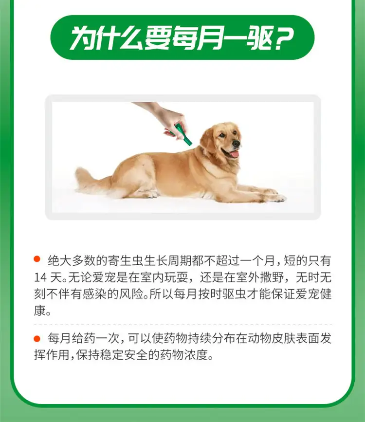 宠物驱虫有什么注意事项(宠物驱虫有什么注意事项和禁忌)