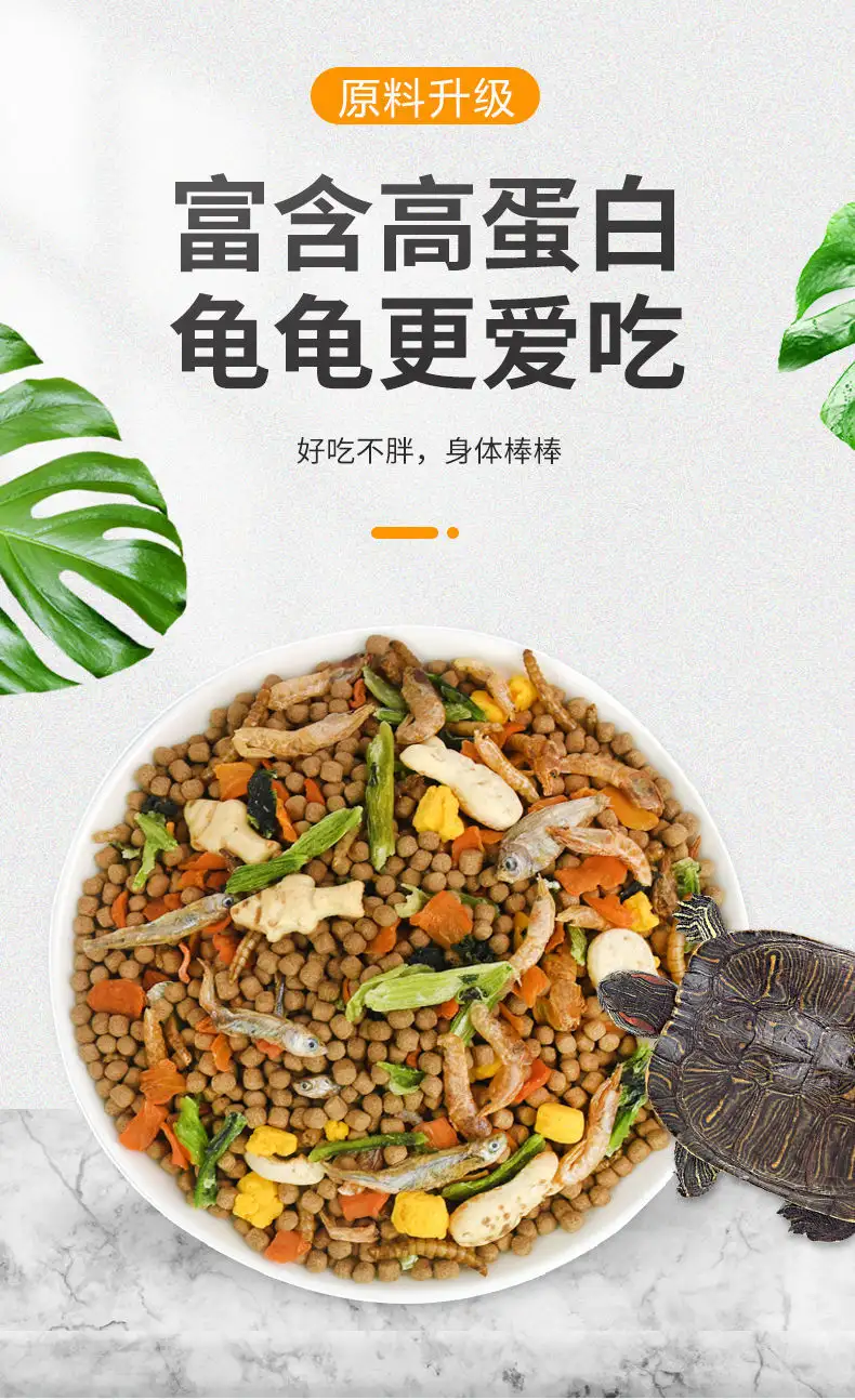 宠物小龟吃什么(宠物龟吃什么放多少水)