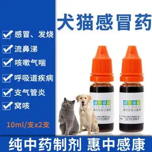 狗狗发烧什么药(狗狗发烧用什么药最好)
