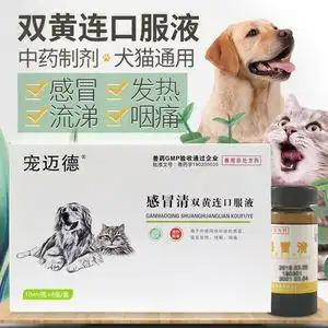 狗狗发烧什么药(狗狗发烧用什么药最好)