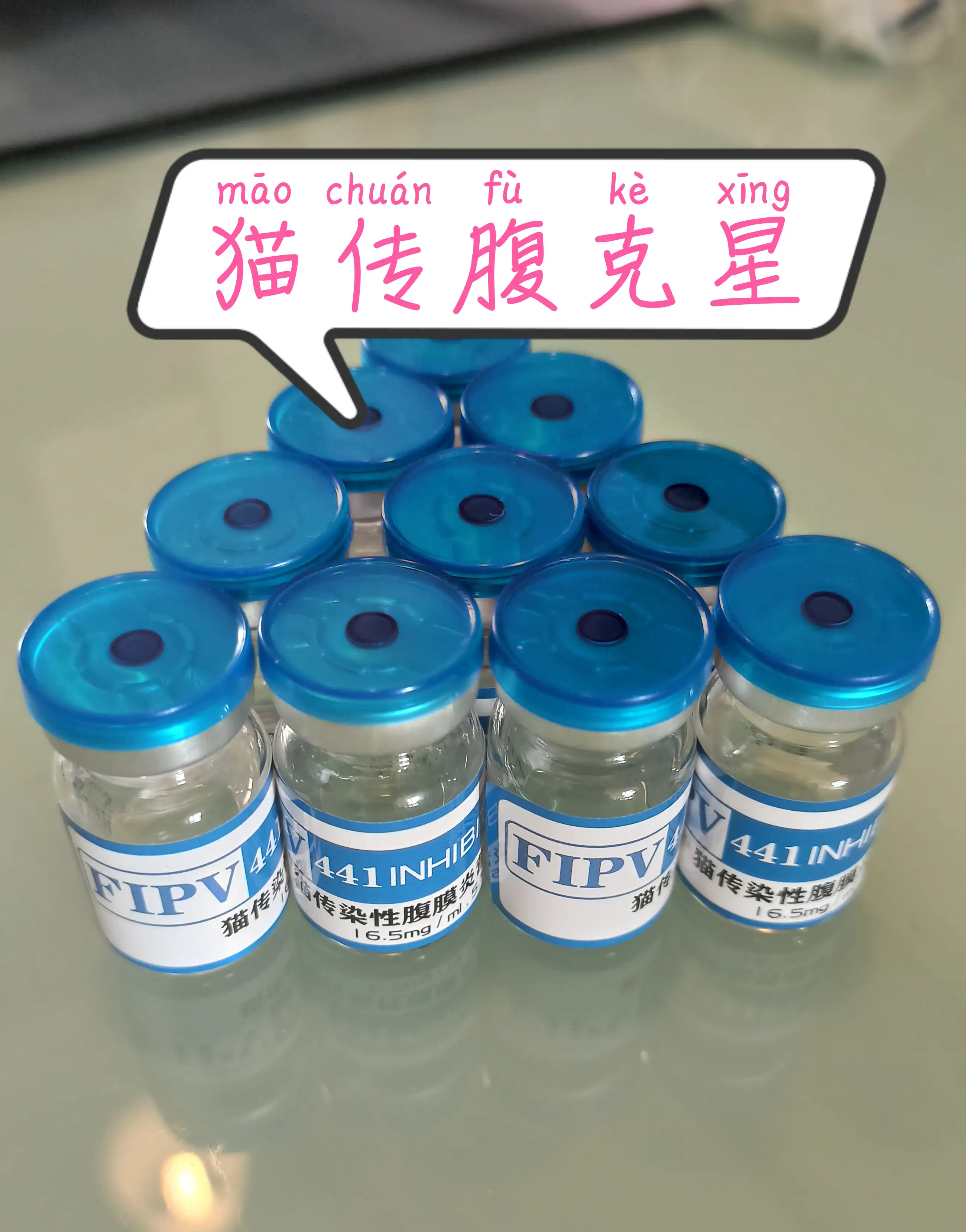 猫传腹不用441还有其他药吗(猫传腹除了441还能用其他药吗)