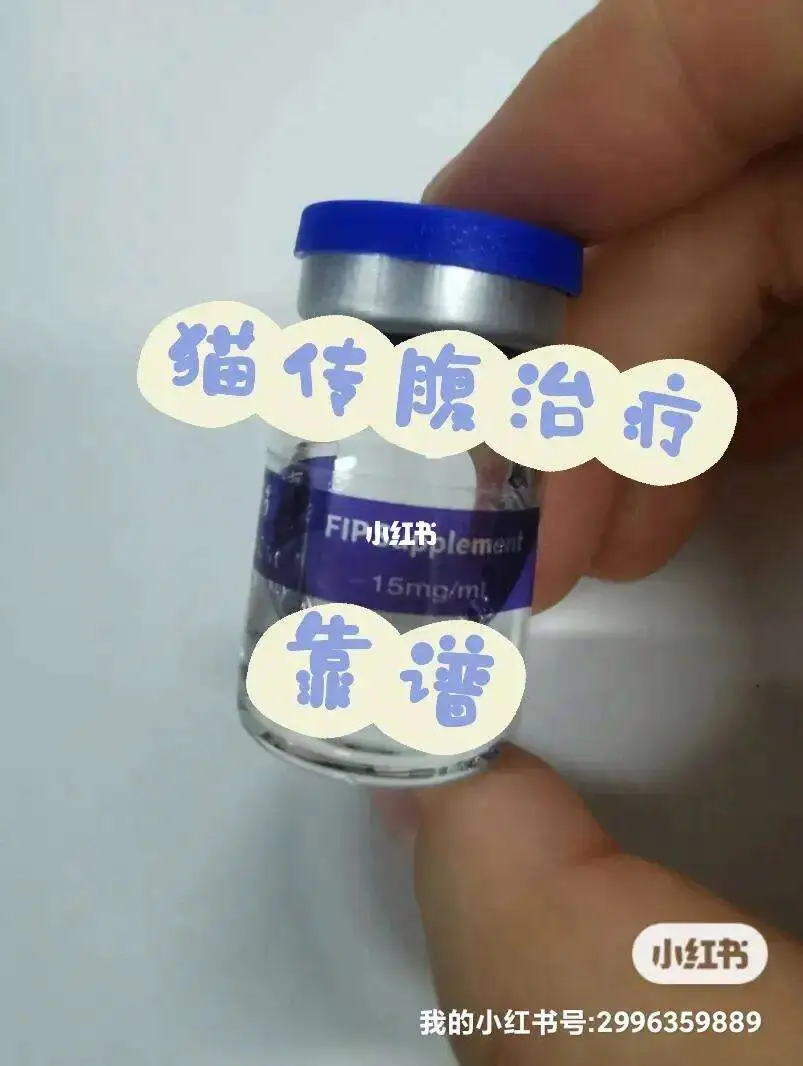猫传腹不用441还有其他药吗(猫传腹除了441还能用其他药吗)