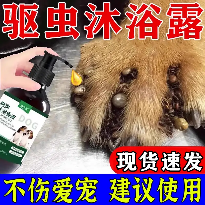 狗驱虫多久可以洗澡(狗驱虫多久可以洗澡洗头)