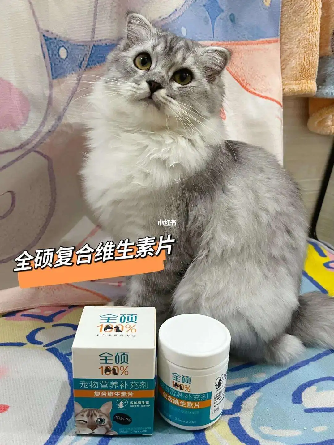 孕猫营养品(孕猫营养补充)