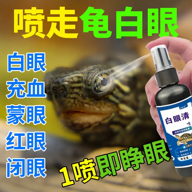 小草龟眼睛睁不开了怎么办(小草龟眼睛睁不开了怎么办呢)