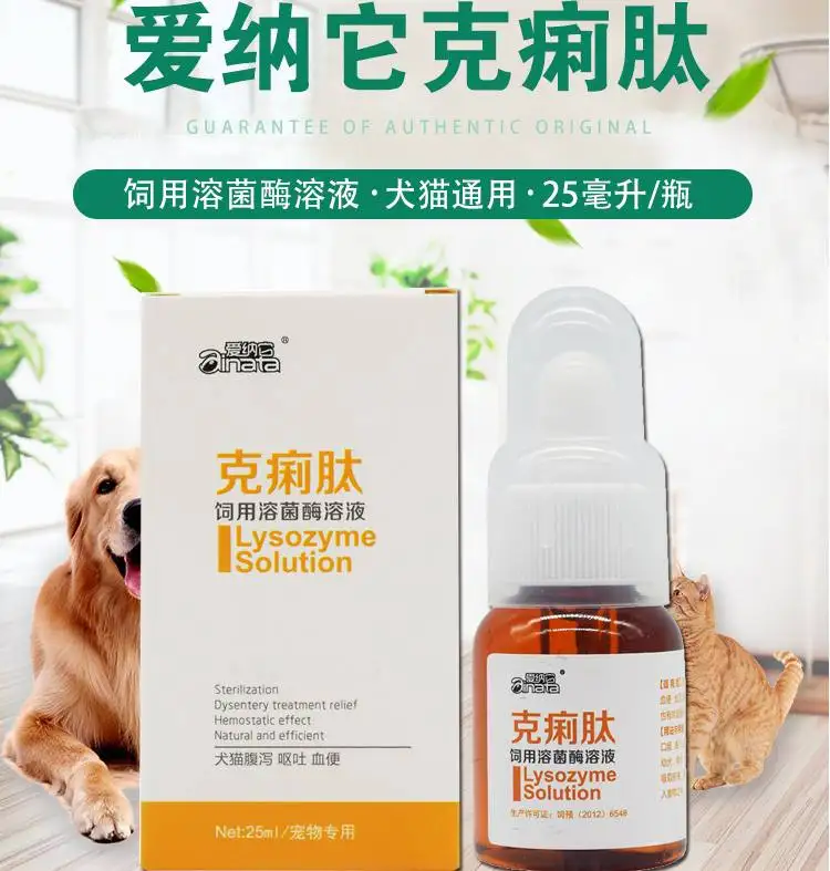 小狗拉肚子发烧吃什么药管用(狗狗拉肚子发烧怎么办吃什么药)