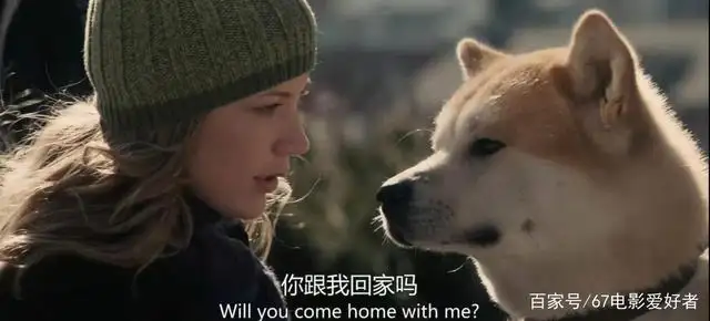美版的忠犬八公叫什么电影(日版的忠犬八公和美版有什么区别)