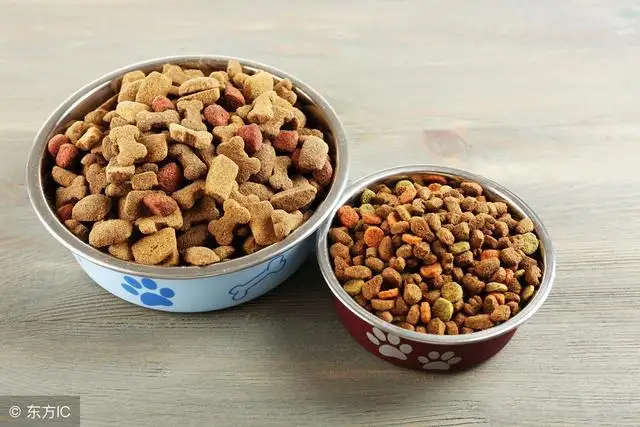 一岁金毛吃什么狗粮好(金毛吃什么狗粮好又不贵)
