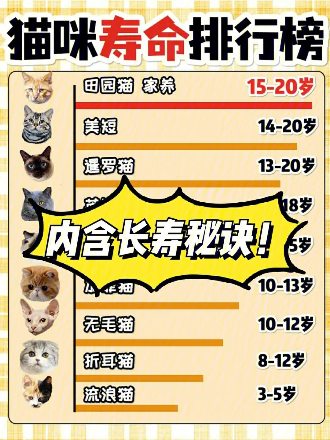 猫有几年寿命(猫咪有几年的寿命?)