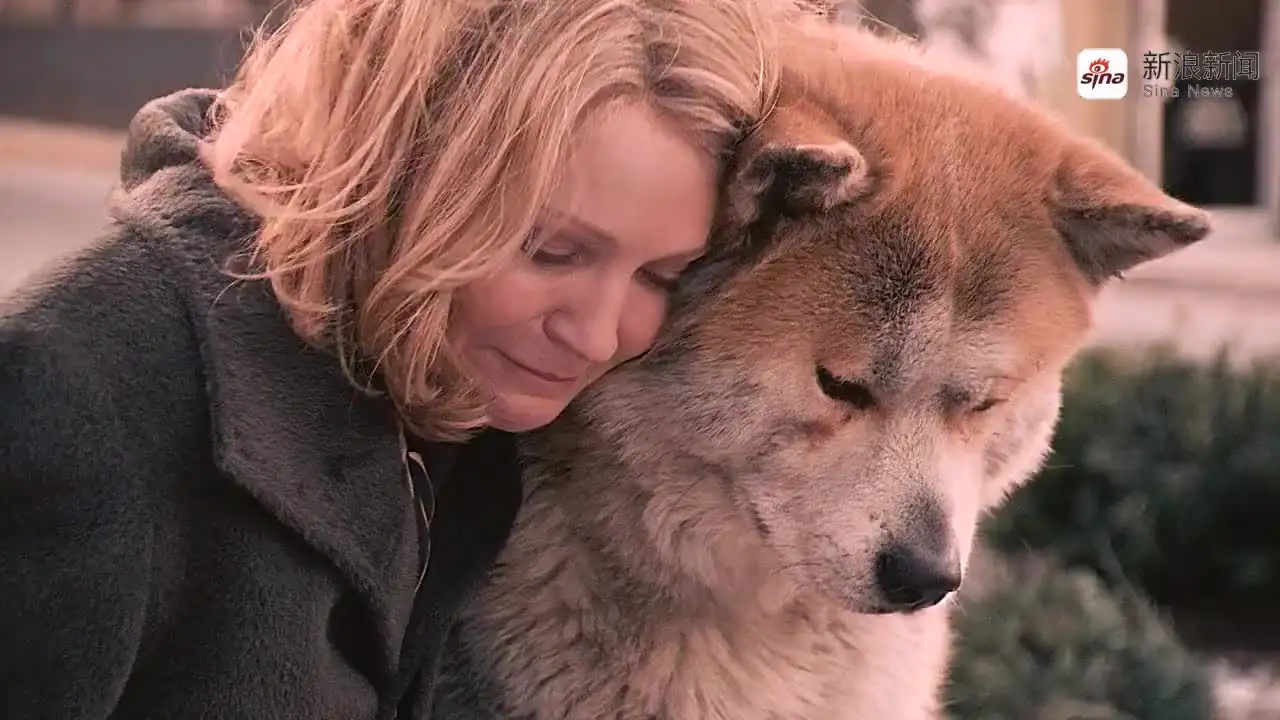 忠犬八公精彩片段(忠犬八公十句经典台词)