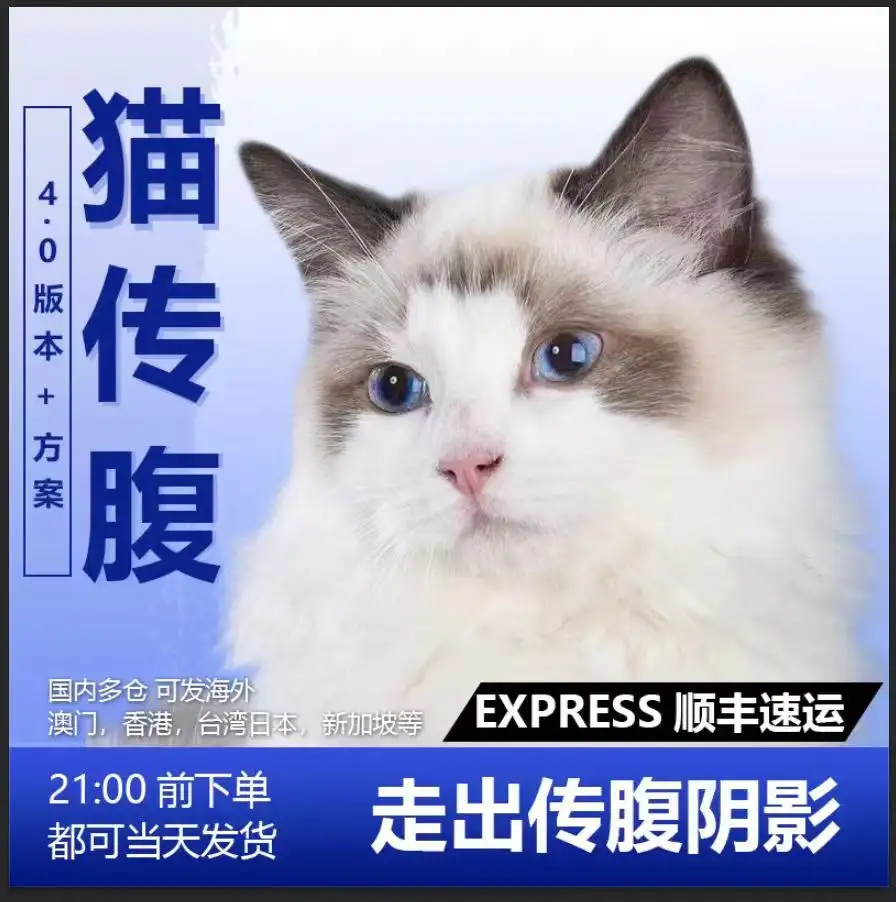 得过猫传腹的猫寿命(得过猫传腹的猫可不可以绝育)