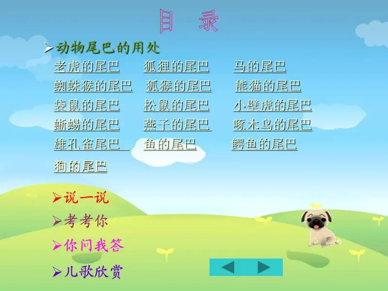 鸟类尾巴的作用(鸟的尾巴有什么作用)