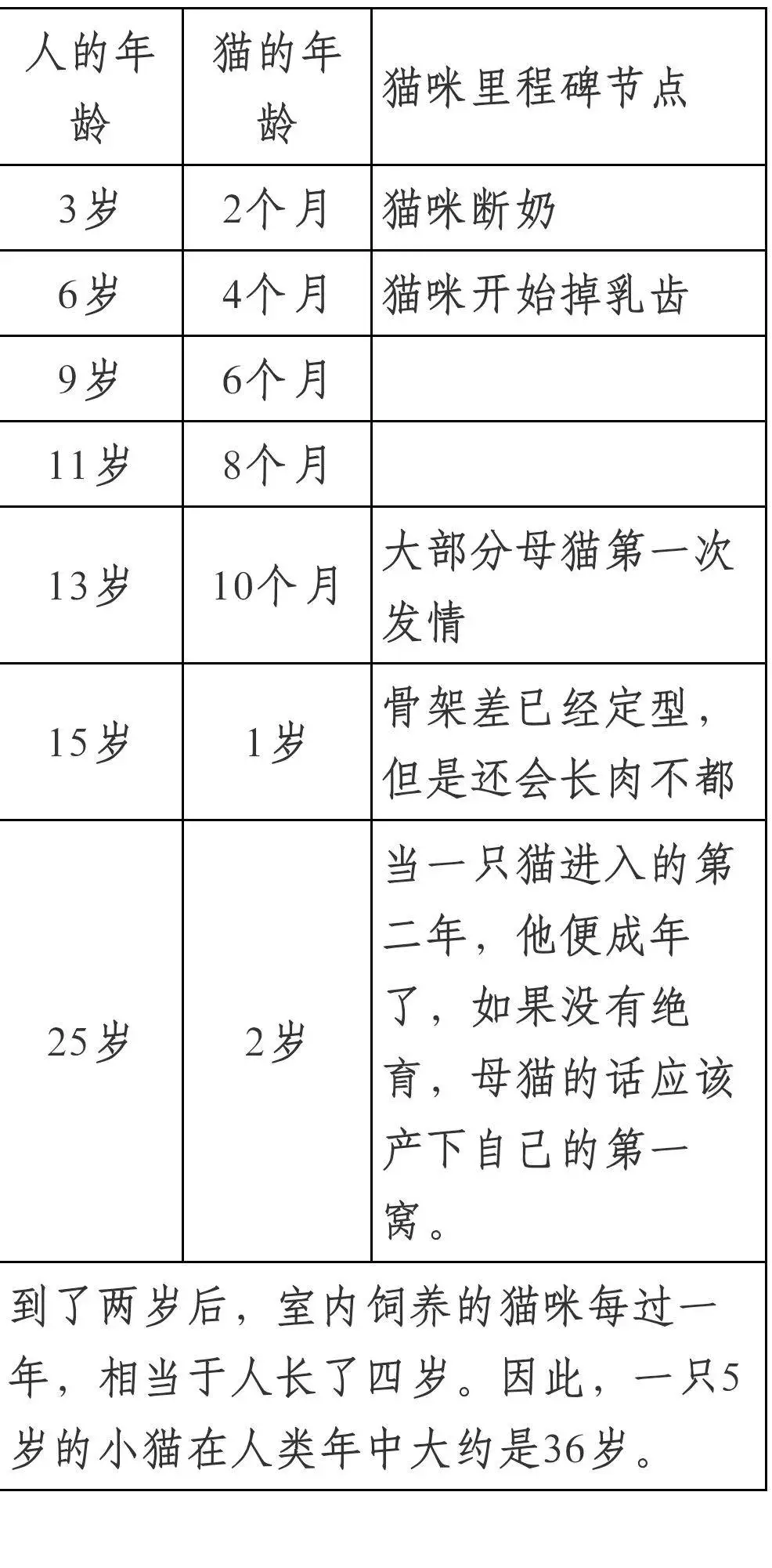 猫的寿命是多少岁(猫的寿命一般是多少岁)