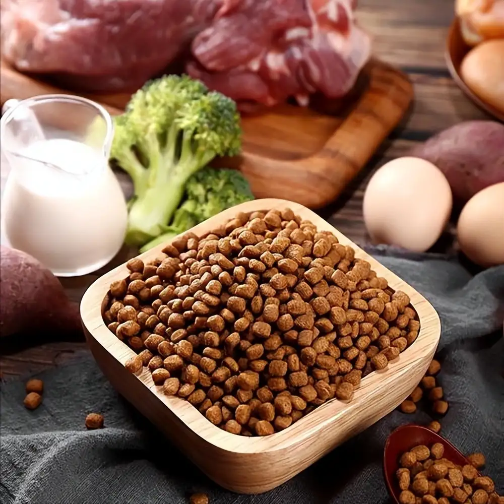 老年狗狗吃什么狗粮(狗狗十大禁忌食物一览表)