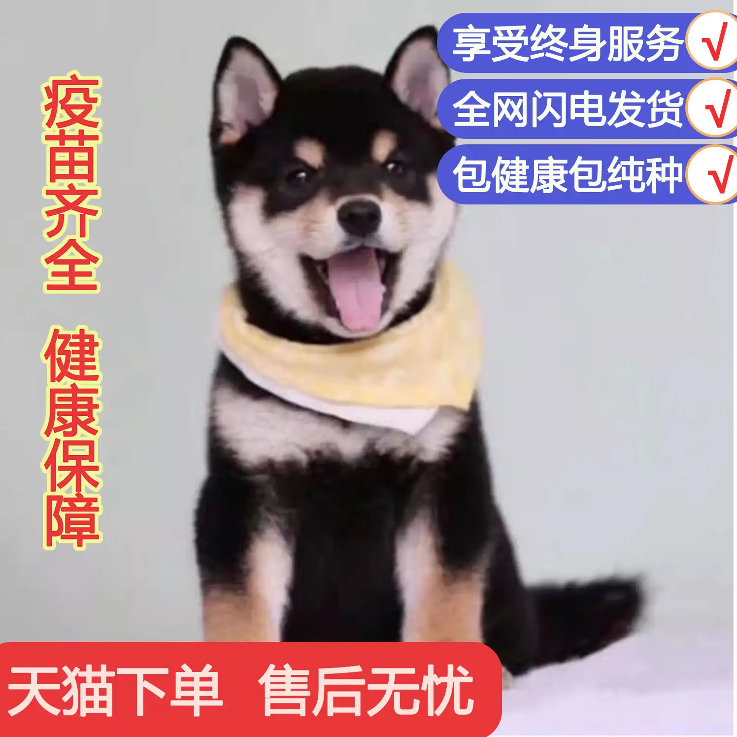 狗最多活多少岁(狗最多能活到多少岁?)