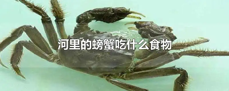 普通螃蟹吃什么东西长大的(普通螃蟹吃什么东西长大的快)