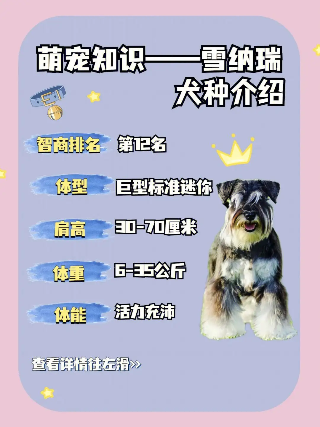 雪纳瑞几个月剃毛合适(雪纳瑞几个月剃毛合适啊)