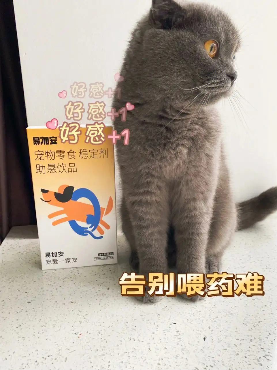 猫吃驱虫药怎么办(猫吃驱虫药有什么反应)