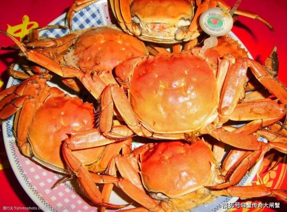 现在季节吃什么蟹(现在是吃什么蟹的时候)