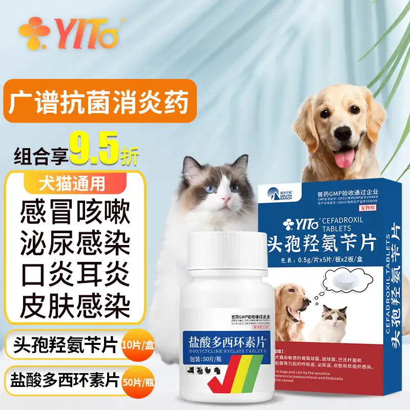 狗感冒吃点甚么药(狗感冒了吃什么感冒药)