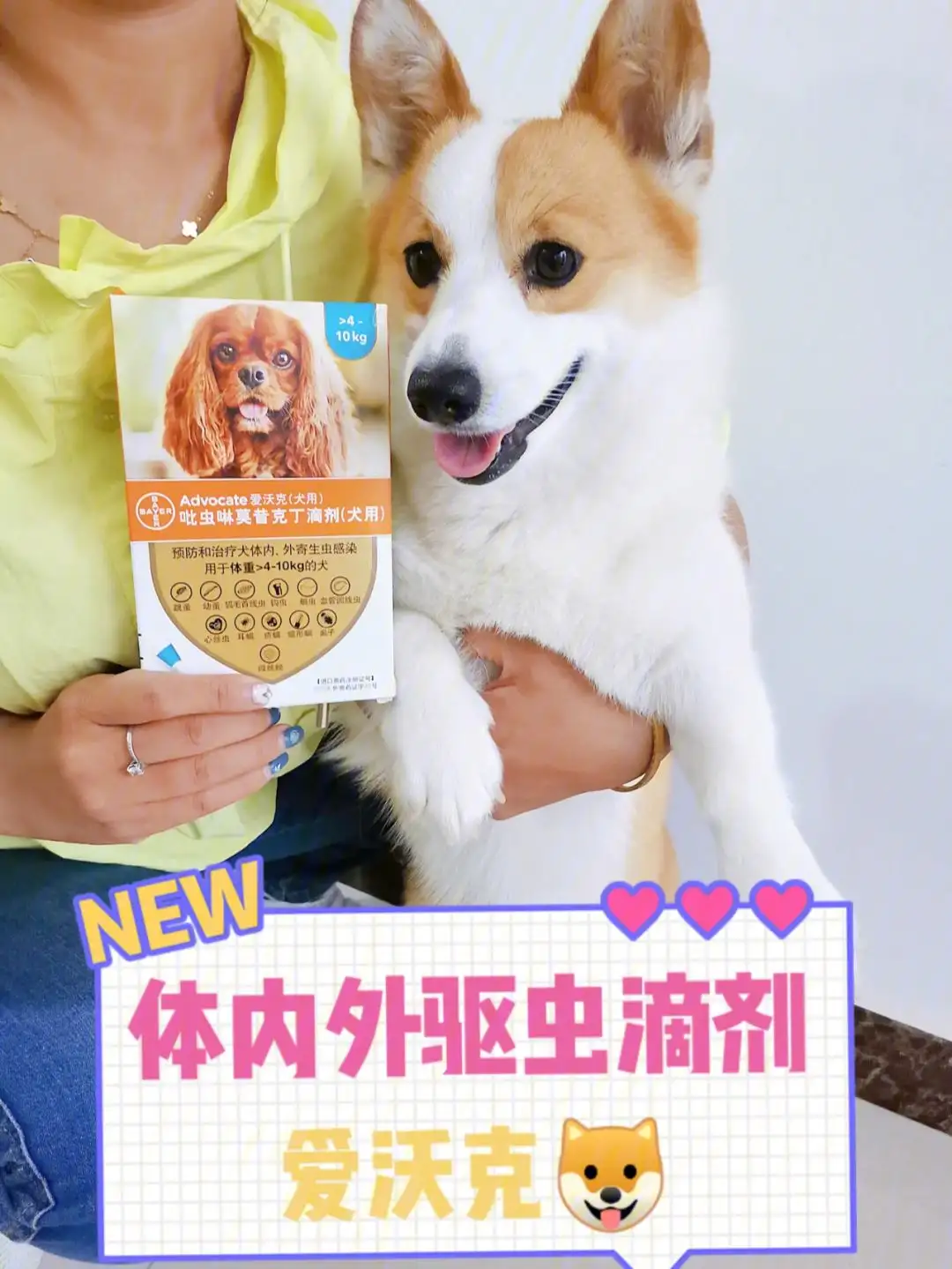 狗狗驱虫药不良反应(狗狗驱虫药不良反应多久消失)